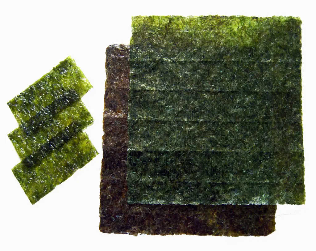android n nori